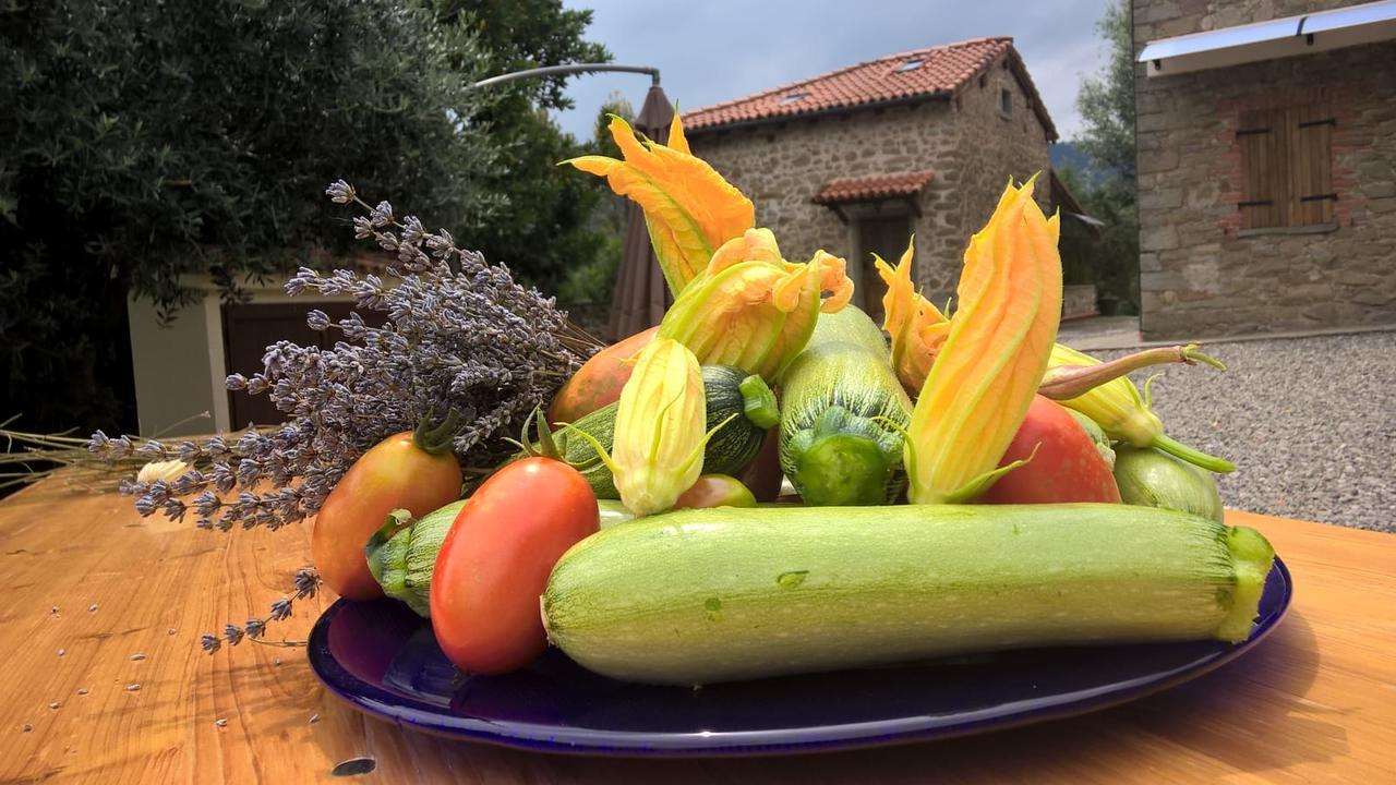 Agripodere Il Falco Pontremoli Zewnętrze zdjęcie